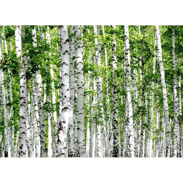 Obrázky: Zápisník A5 GROWBOOK™ so semenami brezy, prírodná, Obrázok 7